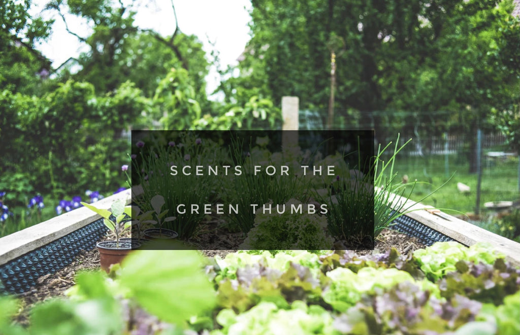 Scents for the Green Thumbs