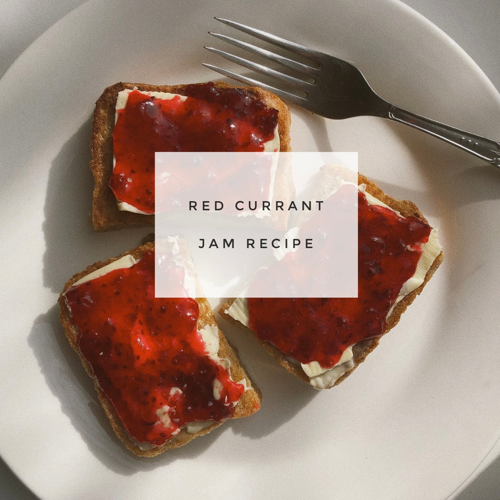 Red Currant Jam Recipe